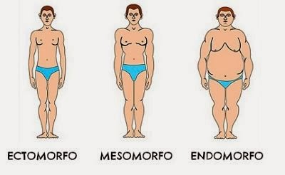 dieta endomorfo para ganar masa muscular dieta endomorfo para ganar masa muscular